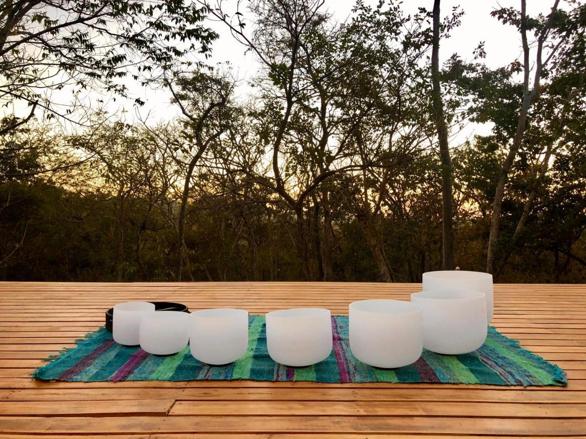 فندق San José Pinillaفي  Hyla Nature Retreat المظهر الخارجي الصورة